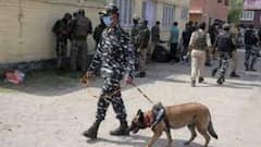 J&K: Grenade attack on CRPF Convoy; 7 locals injured