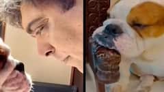 Ram Kapoor shares a hilarious video of his pet