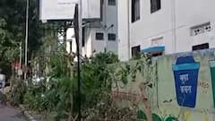 Mumbai : वरळीतील वृक्षतोडीवरुन राजकारण तापलं