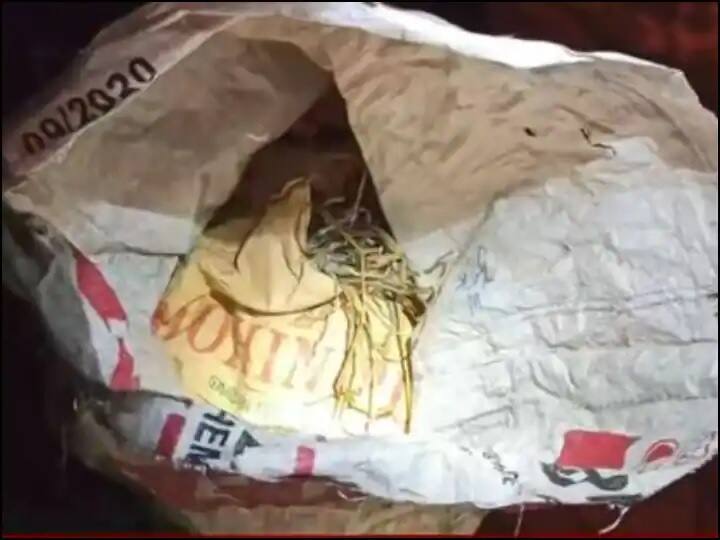 51-country-made-bombs-found-near-bjp-office-in-kolkata-efforts-are-on-to-defuse ਕੋਲਕਾਤਾ 'ਚ ਭਾਜਪਾ ਦਫ਼ਤਰ ਨੇੜਿਓਂ ਮਿਲੇ 51 ਦੇਸੀ ਬੰਬ