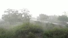 Monsoon 2021 : दोन दिवस आधीच मान्सून महाराष्ट्रात; रायगडसह, पुणे, नाशिकमध्ये सरी