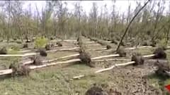 Cyclone Yaas Effect: ইয়াসের দোসর ভরা কটাল, জলমগ্ন চাষের জমিতে ক্ষতির মুখে পাঁশকুড়া-মহিষাদলের সবজি চাষ