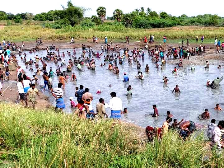 Fishing festival held in violation of curfew rules ‛குட்டையில் இறங்கி மீன்பிடி திருவிழா: கட்டையுடன் போலீஸ் வந்ததும் எஸ்கேப்லா’
