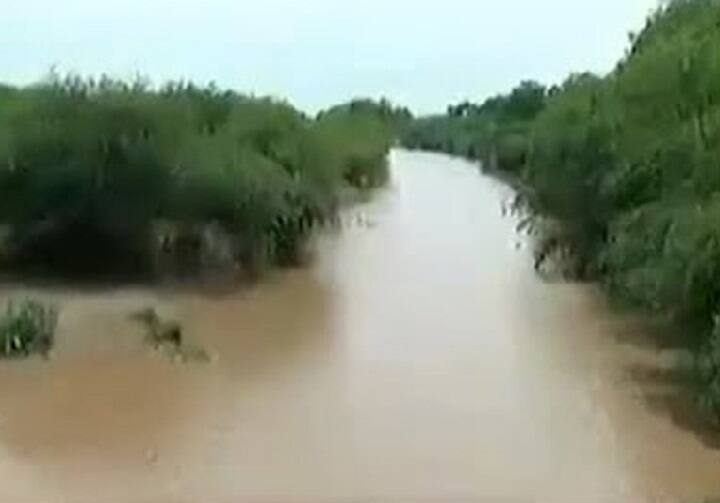 Gujarat Rain update : Navli river flooded in first rain at Savarkundla city of Amreli સૌરાષ્ટ્રના કયા શહેરમાં ધોધમાર વરસાદને પગલે નદીમાં આવ્યું પૂર? જાણો વિગત