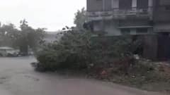 રાજ્યમાં વરસાદ અંગે હવામાન વિભાગે શું કરી આગાહી, રાજ્યમાં ક્યારે આવશે ચોમાસું?