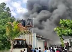 Ghotawade Phata Pune Fire: પુણેની કેમિકલ ફેક્ટરીમાં લાગી ભીષણ આગ, 15 લોકોના મોત, ઘણા ફસાયા હોવાની આશંકા