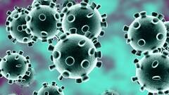Coronavirus India Update: Huge dip in tally with 1,00,636 new cases
