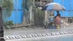 વરસાદની આગાહી વચ્ચે આ જિલ્લામાં વરસાદ થયો શરૂ, કયા પાકને નુકસાનની ભીતી?