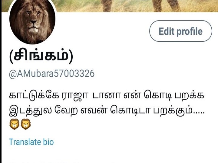 Twitter Trending | கலகலப்பும், கலாயுமாக மாறிய ட்விட்டர்.. களமிறங்கிய முதலை, தேவாங்கு!