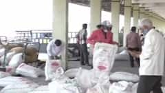 ધોરાજી માર્કેટિંગ યાર્ડમાં આજથી આ પાકની ખરીદી થઈ શરૂ, ખેડૂતોએ શું કરી માંગ?