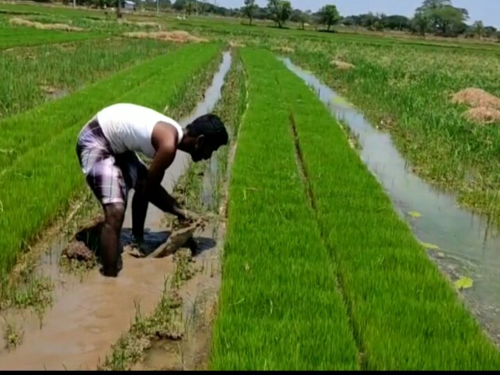 தனக்கு கிடைப்பதை பகிர்ந்து இயலாதவர்களுக்கு உணவளிக்கும் கூலித்தொழிலாளி