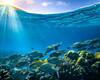 Ocean Day | உலக பெருங்கடல் தினம் : கடல்களை பற்றி சுவாரஸ்யமான 10 தகவல்கள்!