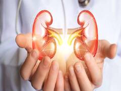 Kidney Health | ’ஹெல்த்தான கிட்னி நீண்ட ஆயுளுக்கு வழி’ - சிறுநீரக ஆரோக்கியத்துக்கு உகந்த காய்கறி, பழங்கள்!