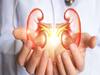 Kidney Health | ’ஹெல்த்தான கிட்னி நீண்ட ஆயுளுக்கு வழி’ - சிறுநீரக ஆரோக்கியத்துக்கு உகந்த காய்கறி, பழங்கள்!