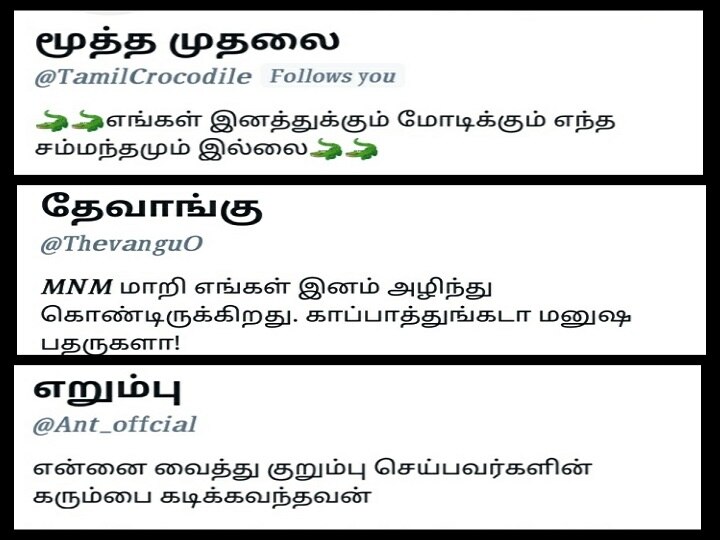 Twitter Trending | கலகலப்பும், கலாயுமாக மாறிய ட்விட்டர்.. களமிறங்கிய முதலை, தேவாங்கு!