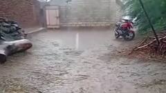 Bhavnagar: મહુવા પથંકમાં ભારે પવન સાથે વરસાદ શરૂ, હવામાન વિભાગે શું કરી આગાહી?