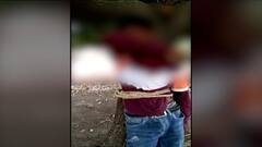 Viral Video Jalgaon : कैऱ्या तोडल्या म्हणून शेतमालकाने अल्पवयीन मुलाला दोन तास झाडाला बांधून ठेवलं