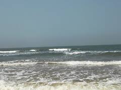 World Oceans Day 2021 : काय आहे जागतिक महासागर दिनाचं महत्त्वं आणि हेतू?