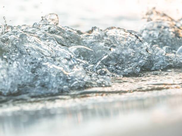 সমুদ্র আমাদের খাবার থেকে বেঁচে থাকা রসদ জোগায়। কিন্তু বহু ক্ষেত্রেই আমাদের অসচেতনতার জন্য আজ সমুদ্র দূষণ বাড়ছে।