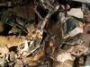 Uttar Pradesh: 16 Killed, Around 30 Injured As Bus Collides With Loader Near Kanpur