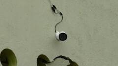 वाशिमच्या तपोवन गावात प्रत्येक ग्रामस्थाच्या नावाने वृक्ष लागवड, प्रत्येक कोपऱ्यावर CCTV कॅमेरा!