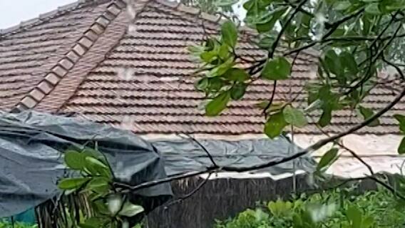 Rural News : गावागावातील बातम्यांचा वेगवान आढावा, तुमच्या गावात आज काय घडलं? माझं गाव माझा जिल्हा