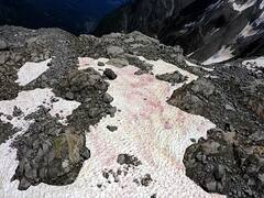 Glacier Blood: खून के लाल रंग से रंगे हैं फ्रांस के ग्लेशियर, वजह जान आप भी रह जाएंगे हैरान