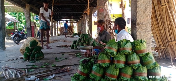 Medicinal Attur Betel Forgotten by Tobacco Products Betel Growers suffers ’மறக்கப்பட்டது மருத்துவகுணம் கொண்ட ஆத்தூர் வெற்றிலை’ : விவசாயிகள் சொல்லும் வேதனைக்கதை