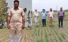 ਬਰਨਾਲਾ ਦਾ ਕਿਸਾਨ ਬਣਿਆ ਮਿਸਾਲ, 36 ਏਕੜ ਰਕਬੇ ਵਿਚ ਝੋਨੇ ਦੀ ਸਿੱਧੀ ਬਿਜਾਈ