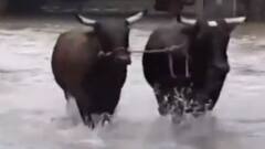 Mumbai comes to a standstill due to downpour, heavy water-logging