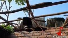 District News: ঝড়বৃষ্টিতে লণ্ডভণ্ড গাইঘাটা, আশ্রয় হারিয়ে ত্রাণশিবিরে গ্রামবাসীরা