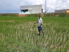 பாதுகாக்கப்பட்ட வேளாண் மண்டலத்தை பாழாக்கும் சோப்பு தொழிற்சாலைகள்