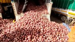 Lasalgaon APMC मध्ये अमावस्येलाही कांदा, धान्य लिलाव सुरु राहणार, अनेक वर्षांची परंपरा बंद