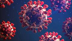 देश में कोरोना से रिकॉर्ड तोड़ मौतें, पिछले 24 घंटे में 6 हजार 148 लोगों ने गवाई जान | Badi Khabar