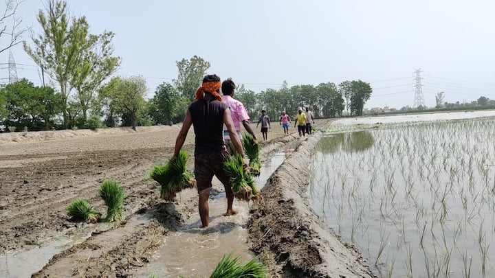 ਬੱਚਿਆਂ ਦੇ ਭੁੱਖੇ ਮਰਨੇ ਦੀ ਨੋਬਤ ਆ ਪਹੁੰਚੀ ਹੈ। ਇਸ ਲਈ ਮਜ਼ਬੂਰੀ ਵੱਸ ਕੋਰੋਨਾ ਦੇ ਚਲਦੇ ਵੀ ਆਪਣਾ ਘਰ ਛੱਡਣਾ ਪੈ ਰਿਹਾ ਹੈ।