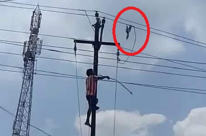 Arvalli : Bird lover died after collapse from electric poll during save bird , people shoot video