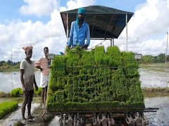 மயிலாடுதுறை : தடையில்லா மும்முனை மின்சாரம் வழங்க விவசாயிகள் கோரிக்கை.!