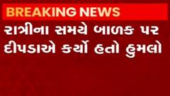 ગીર ગઢડાના આ ગામમાં ચાર પગનો આતંક, માસૂમે ગુમાવ્યો જીવ, જુઓ વીડિયો