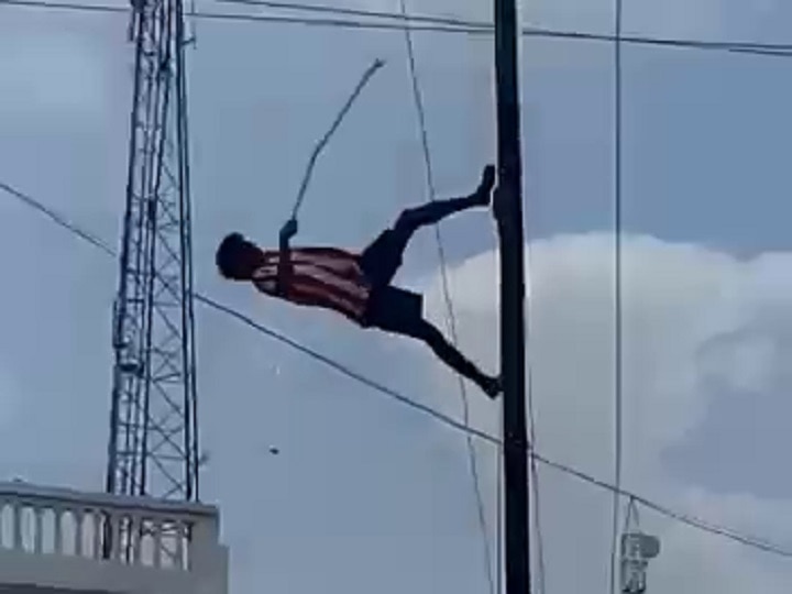 अरवल्ली : बिजली के खंभे पर फंसे कबूतर को बचाने के प्रयास में गिरा युवक, सामने आया वीडियो