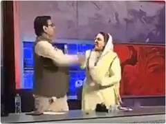 इमरान खान की पार्टी की नेता फरदौस अवान ने PPP नेता को लाइव टीवी शो के दौरान मारा थप्पड़ और दी गाली