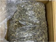 कोरोना काळात आपत्कालीन अन्नपुरवठ्याच्या नावाखाली अमेरीकेतून मुंबईत ड्रग्ज पुरवठा, एनसीबीची कारवाई