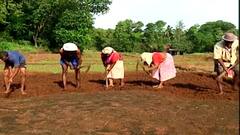 Top 25 News : बाजरीच्या किमान आधारभूत किंमतीतही वाढ