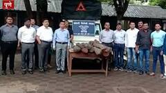 TOP 50 : महत्त्वाच्या 50 बातम्यांचा वेगवान आढावा : मान्सून अपडेट्स 10 जून 2021 ABP Majha