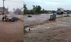 ગુજરાતમાં ચોમાસાની ધમાકેદાર એન્ટ્રી, ક્યાંક 4 તો ક્યાં અઢી ઇંચ વરસાદ પડ્યો, આગામી પાંચ દિવસ ભારે વરસાદની આગાહી