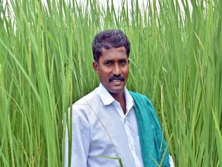 Sivagangai Sivaraman pioneer farmer cultivating traditional paddy seeds Sivagangai Sivaraman: கலப்படம் இல்லாத பாரம்பரிய நெல்’  நம்மாழ்வார் வழியில்  சிவகங்கை விவசாயி !