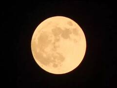 Jyeshtha Purnima 2021: कब है ज्येष्ठ पूर्णिमा? जानें इसकी तिथि, महत्व और मुहूर्त