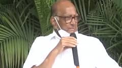 Sharad Pawar से मिलेंगे Prashant Kishor, 2024 लोकसभा चुनाव पर हो सकती है चर्चा