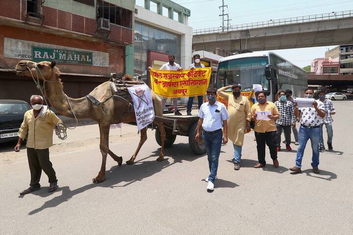 Jaipur: All Rajasthan Contact Bus Operator Association activists with a camel cart, protest against frequent hikes in the prices of petrol and diesel, in Jaipur. (Image: PTI)