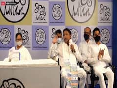 Mukul Roy Joins TMC: 'মুকুলের ওপর বিজেপিতে কম অত্যাচার হয়নি, তৃণমূলে আসায় মানসিক শান্তি পেল', বলছেন মমতা