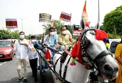 ਹਰਿਆਣਾ 'ਚ ਕਾਂਗਰਸ ਦਾ ਤੇਲ ਦੀਆਂ ਕੀਮਤਾਂ ਖਿਲਾਫ਼ ਪ੍ਰਦਰਸ਼ਨ